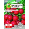 Nasiona Apte Rzodkiewka CARMEN — polska odmiana rzodkiewki do całorocznej uprawy