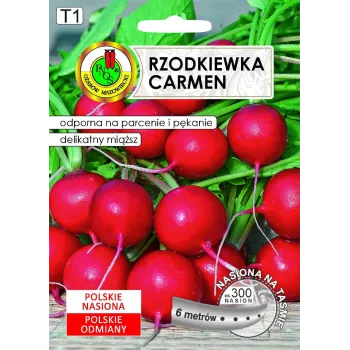 Nasiona Apte Rzodkiewka CARMEN — polska odmiana rzodkiewki do całorocznej uprawy