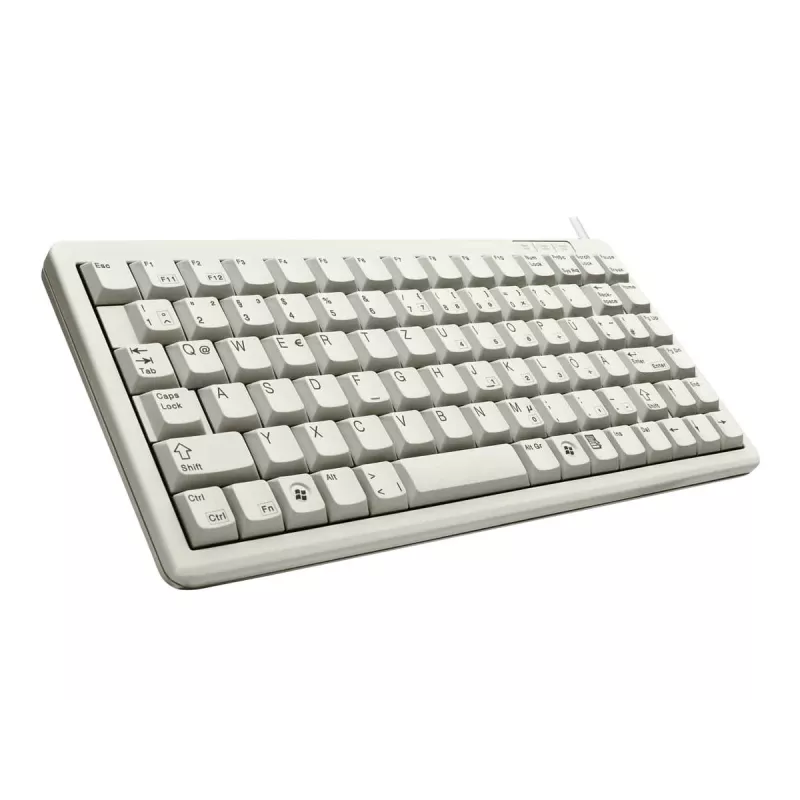 Cherry G84-4100 kompaktowa klawiatura, jasnoszara, USB/PS/2