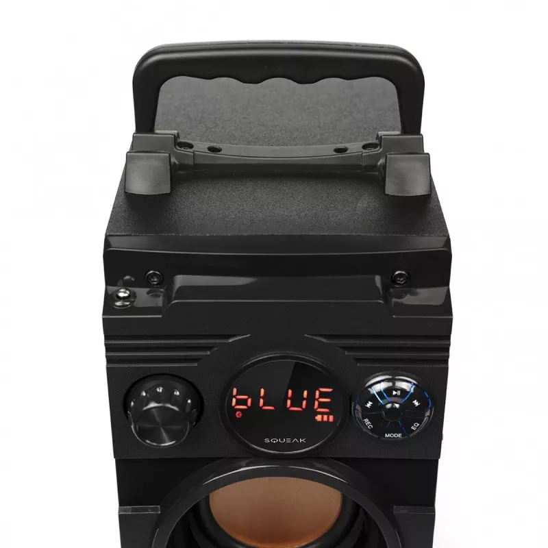Głośnik Bluetooth 5.1 Squeak Bassblaster, Radio FM, Odtwarzacz MP3 SQ1001