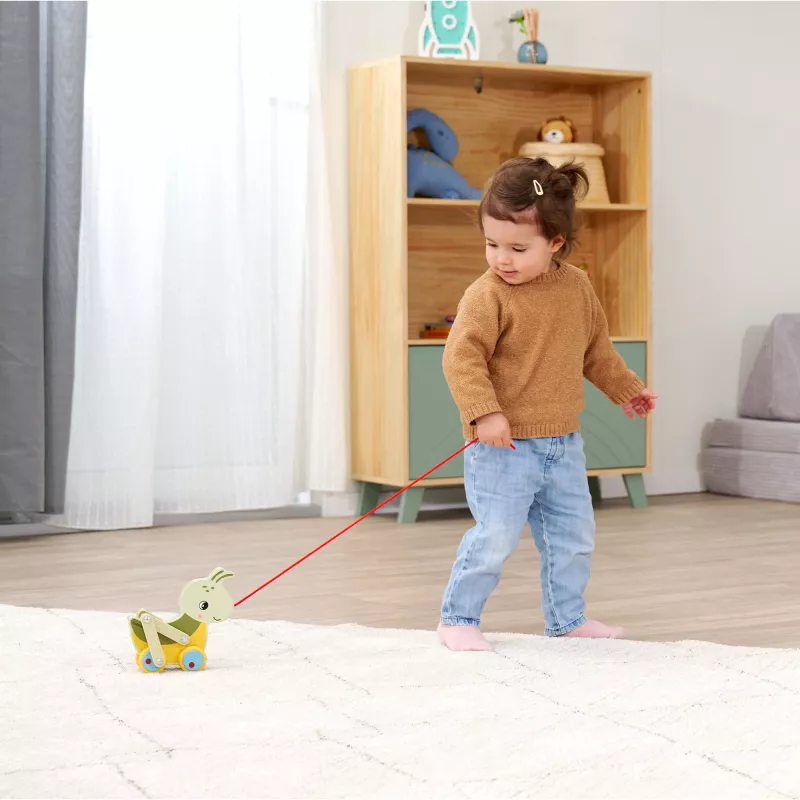 Eichhorn Pull-Along Grasshopper (100006803)