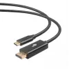 Kabel USB-C do DisplayPort TB AKTBXVDUSBCDP2B 2 m — czarny