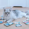 ANIMAL ISLAND Indyk / Biała ryba / Wołowina / Filety z kurczaka w sosie - mokra karma dla kotów - 80x85g