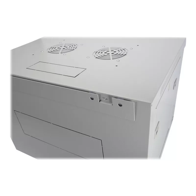 Digitus Szafa wisząca seria Dynamic Basic - 600x450 mm (szer. x gł.)