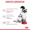 Sucha karma dla kota Royal Canin Mother & Babycat 2 kg — kurczak, dla kotek ciężarnych, karmiących oraz kociąt (Junior)