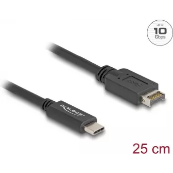 DeLOCK Kabel USB USB Type-E Key A 20-pin męski na USB Type-C męski 25 cm