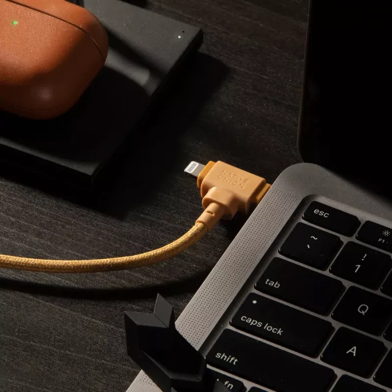 Native Union Belt kabel USB-C/USB-C kabel
