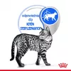 Mokra karma dla kota Royal Canin Indoor Sterilized saszetka 85 g — dorosłe koty sterylizowane przebywające w domu, smak drobiowy, opakowanie 12 x 85 g