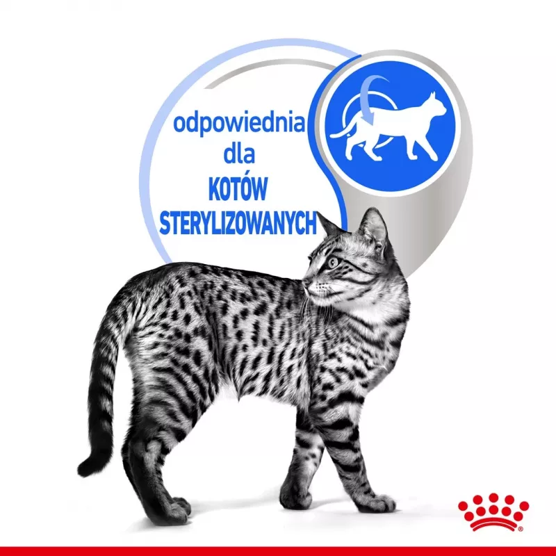 Mokra karma dla kota Royal Canin Indoor Sterilized saszetka 85 g — dorosłe koty sterylizowane przebywające w domu, smak drobiowy, opakowanie 12 x 85 g