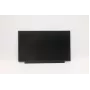 Lenovo 02HL701 13,3-calowy panel LCD HD TN, matowy, 250 nitów