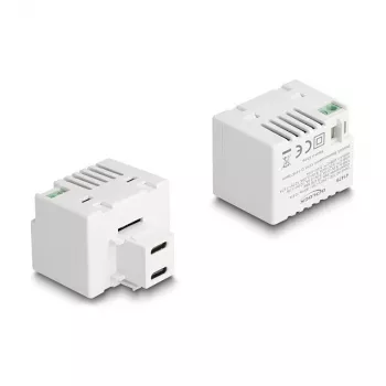 DeLOCK Keystone Module 41479 2 x USB Type-C PD 20W Biały