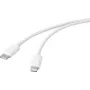 Kabel USB Renkforce USB 2.0 Wtyk USB-C Apple Lightning Biały (RF-5042728)