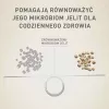 Sucha karma dla psa Purina Nestlé One Mini/Small Sensitive Łosoś i Ryż 800 g – dla małych ras (5–10 kg), senior, 27% białka, 17% tłuszczu