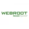 Webroot | DNS Protection with GSM Console | 1 rok (lata) | Ilość licencji 1-9 użytkownik(ów)