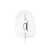 MODECOM M10 M-MC-0M10-200 Mysz (optyczna, 1000 DPI, biały kolor) (M-MC-0M10-200)