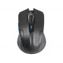 Tracer Fairy - mysz optyczna - 6 przycisków - bezprzewodowa - 2.4 GHz - odbiornik bezprzewodowy USB - czarna