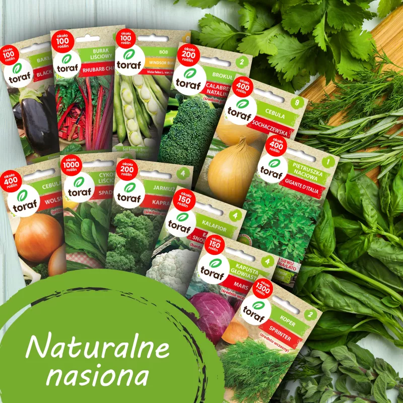 Zestaw nasion warzyw Toraf Harmony - 12 opakowań