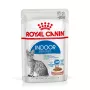 Mokra karma dla kota Royal Canin Indoor Sterilized 12 x 85 g — drób, dorosłe koty wykastrowane niewychodzące