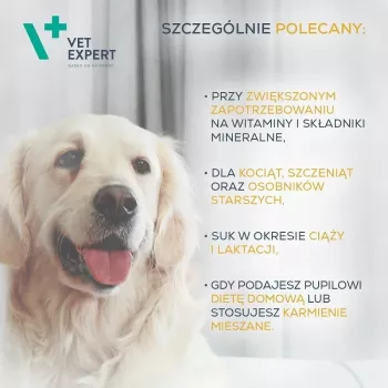 Kapsułki multiwitaminowe VETEXPERT 30 szt. dla psów i kotów – witalność, wsparcie stawów, bez konserwantów i glutenu