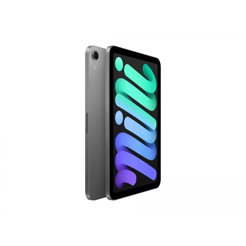 Apple iPad mini A17 Pro Wi-Fi - Tablet - 128GB - 21,1 cm (8,3) IPS (2266 x 1488) - Space Grey (MXN63NF/A)
