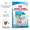 Sucha karma dla psa Royal Canin Starter Mother & Babydog 1 kg — kurczak, 30% białka, 22% tłuszczu