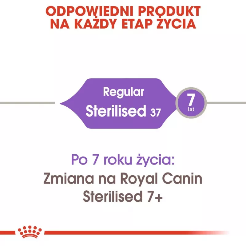 ROYAL CANIN Sterilised 37 - sucha karma dla kotów - 10 kg