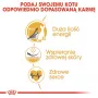 Sucha karma dla kota Royal Canin Sphynx Adult 2 kg — smak wieprzowiny, 33% białka, 23% tłuszczu