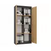 RS-80 HEMN OFFICE SHELVING UNIT, ANTHRACITE/ARTISAN OAK