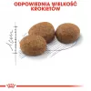 ROYAL CANIN Sterilised 37 - sucha karma dla kotów - 10 kg