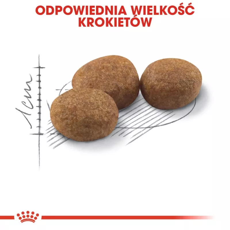 ROYAL CANIN Sterilised 37 - sucha karma dla kotów - 10 kg