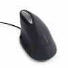 Mysz Gembird MUS-ERGO-03 USB Type-A Optyczna dla praworęcznych