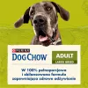 Purina DOG CHOW Large Breed Adult 14 kg z indykiem