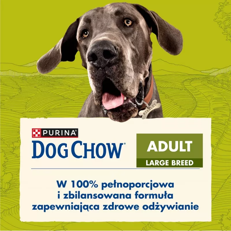 Purina DOG CHOW Large Breed Adult 14 kg z indykiem