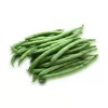 Nasiona fasoli karłowej zielonej Nomad, 50 g - Nasiona warzyw