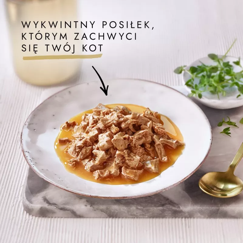 GOURMET GOLD Sauce Delights Kurczak 85g