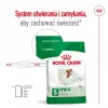 Sucha karma dla psa Royal Canin Adult Mini S 8 kg — kompletne żywienie dla małych dorosłych psów