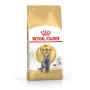 Sucha karma dla kotów Royal Canin British Shorthair Adult 10 kg — drób, białko 34%, tłuszcz 19%