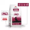 PUPIL Premium Medium and large breeds Rich in beef - karma sucha dla psa - 12kg
