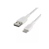 Kabel USB Belkin CAB002BT0MWH 0,15 m USB A USB C Biały