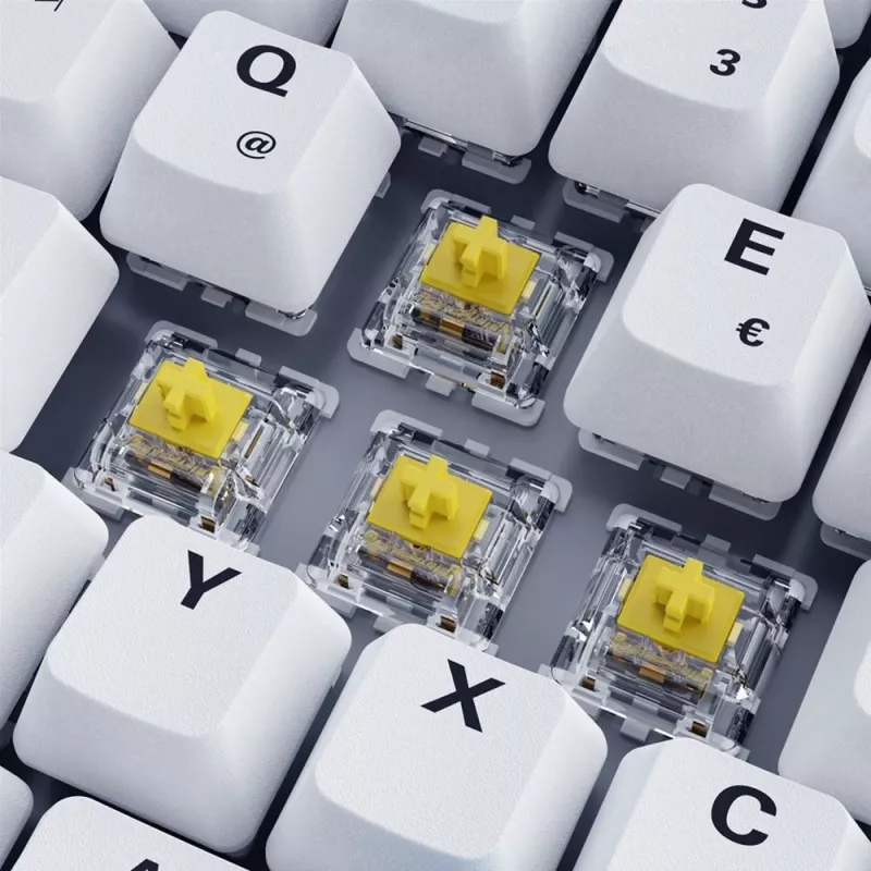 Sharkoon SKILLER SGK50 S3 PBT klawiatura Gaming USB QWERTZ Niemiecki Biały