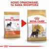 Sucha karma dla psa Royal Canin Miniature Schnauzer Adult, drób, 3 kg, dla małych ras