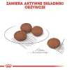 Sucha karma dla psa Royal Canin Mini Digestive Care 3 kg — małe rasy, drób, dorosłe, wsparcie trawienne