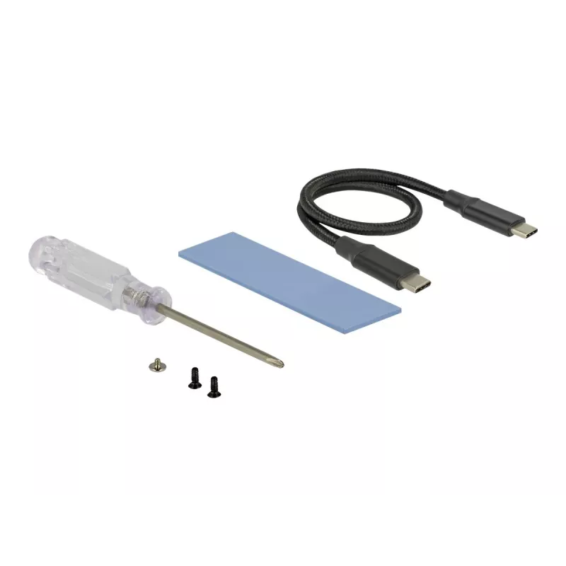 Karta interfejsu DeLOCK 42600 USB 3.2 Gen 1