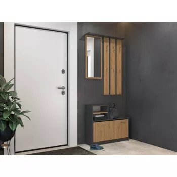 Szafka w przedpokoju top e shop GAR ANT/ART z 1 drzwiami uchylnymi, 850×240×1600 mm