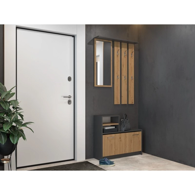 Szafka w przedpokoju top e shop GAR ANT/ART z 1 drzwiami uchylnymi, 850×240×1600 mm
