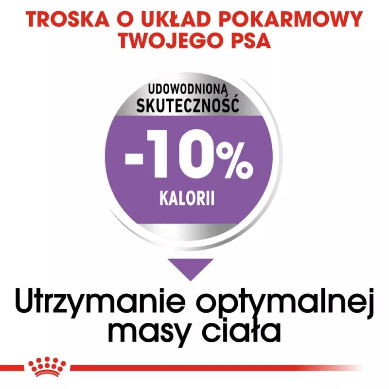 ROYAL CANIN Medium Sterilised sucha karma dla psów - 3 kg