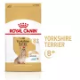Sucha karma dla psa Royal Canin Yorkshire Terrier 8+ 3 kg — drób, dla starszych psów rasy yorkshire terrier, białko 29%, tłuszcz 18%