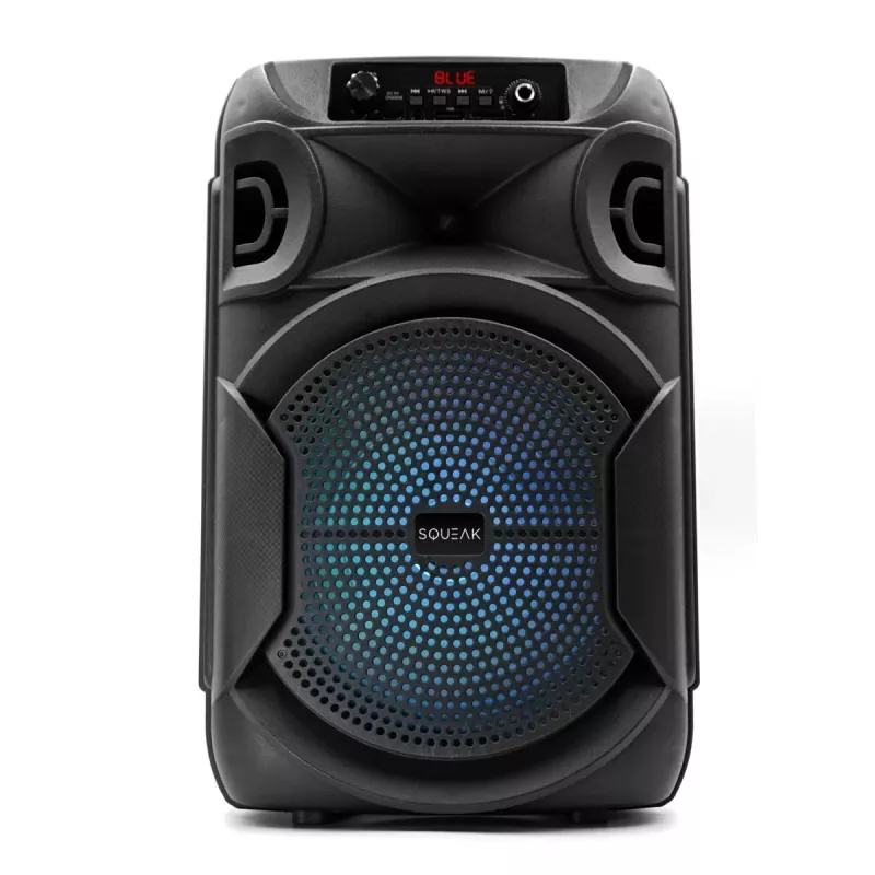 GŁOŚNIK BLUETOOTH 5.3 E DR PULSETOWER SQ1006