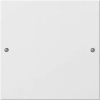 Gira 218103 Urządzenie sieciowe Białe