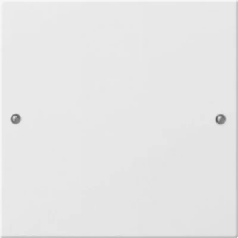 Gira 218103 Urządzenie sieciowe Białe